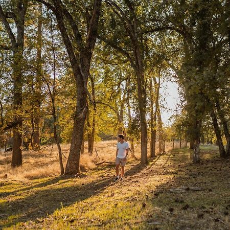 Lovers Nest By Casa Oso With Private Hiking Trails And Pond Mariposa Zewnętrze zdjęcie