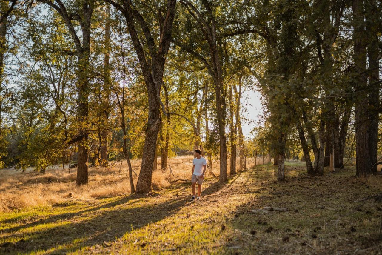 Lovers Nest By Casa Oso With Private Hiking Trails And Pond Mariposa Zewnętrze zdjęcie