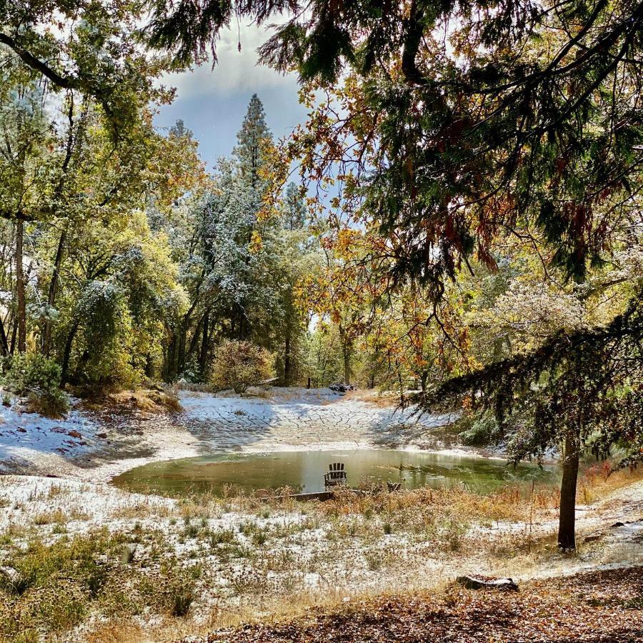 Lovers Nest By Casa Oso With Private Hiking Trails And Pond Mariposa Zewnętrze zdjęcie